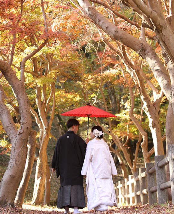 紅葉撮影写真