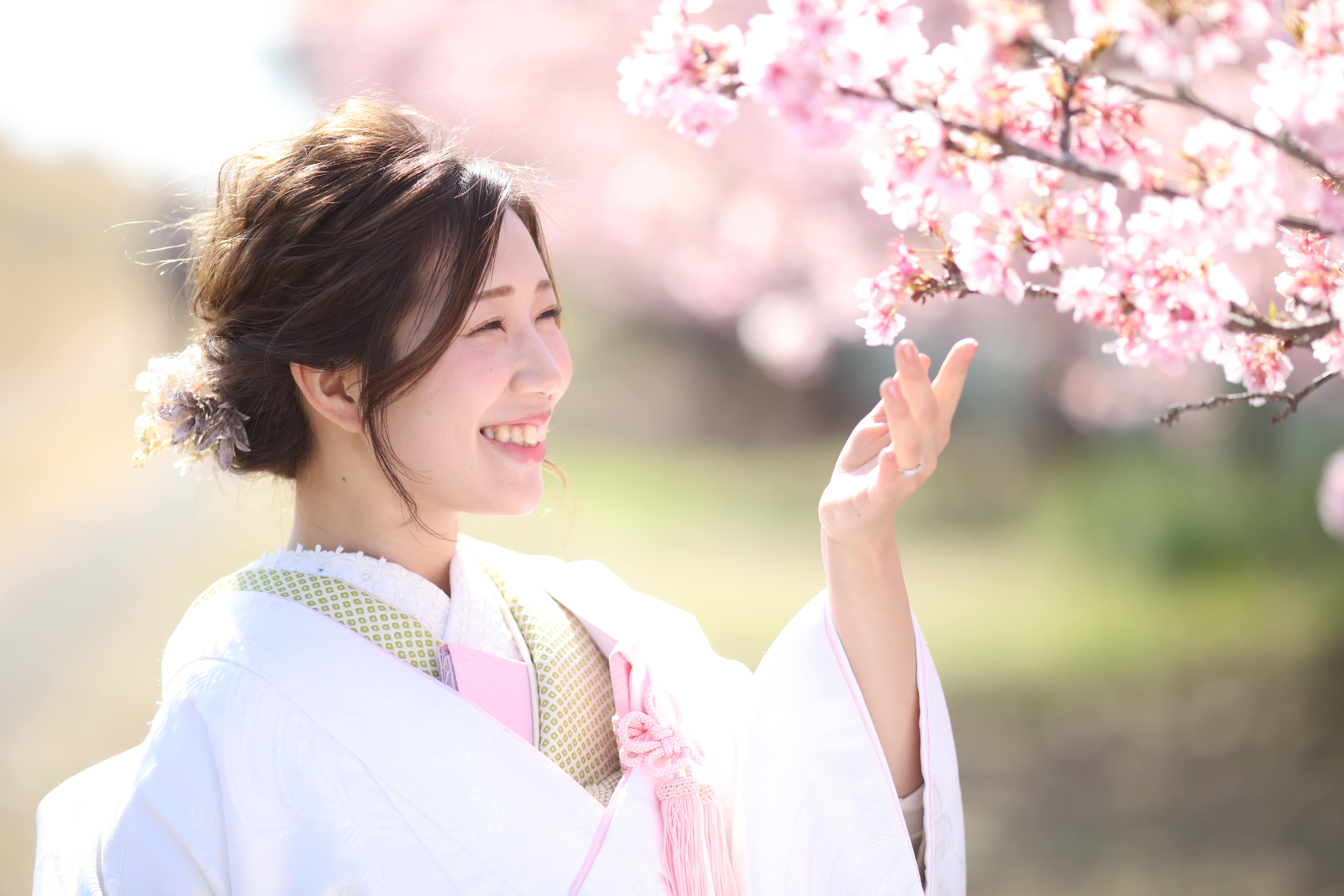 桜・菜の花撮影写真